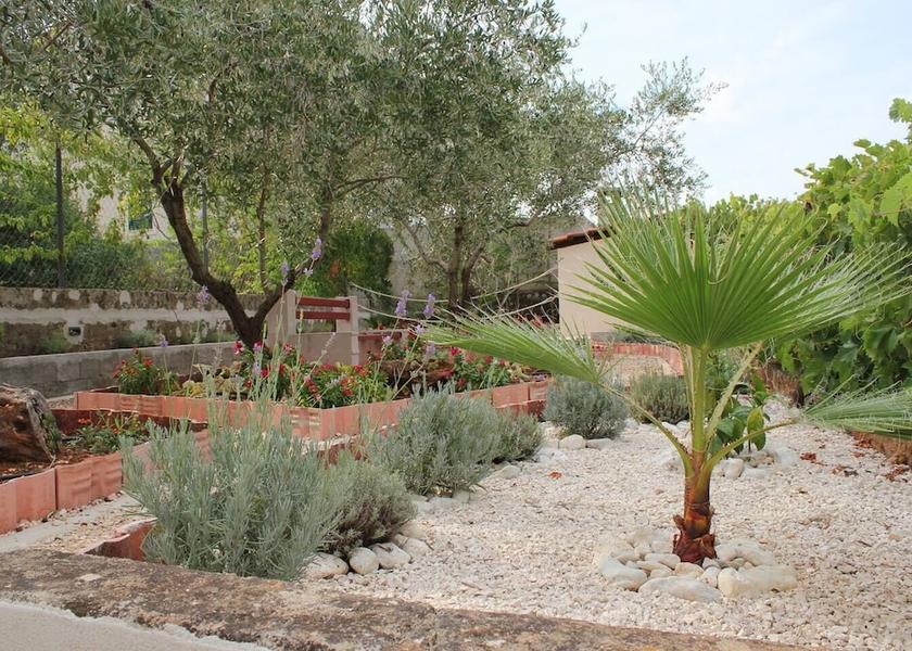 Zadar-Northern Dalmatia Preko Property Grounds