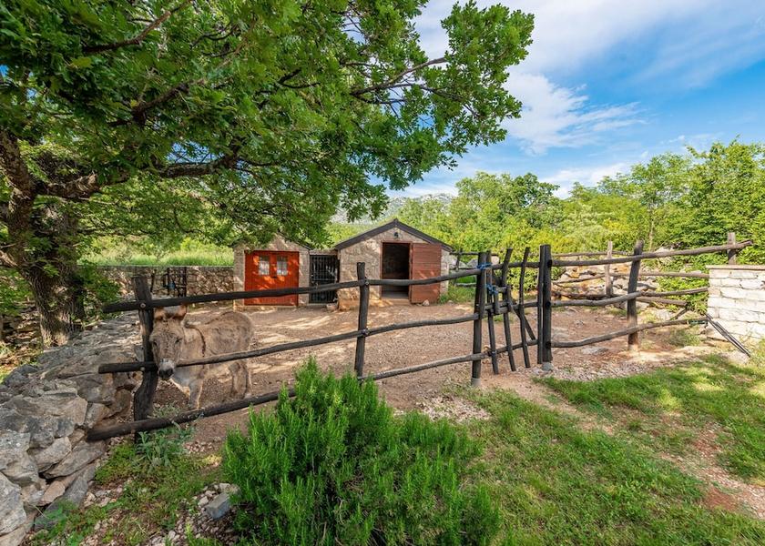 Zadar-Northern Dalmatia Starigrad Exterior Detail