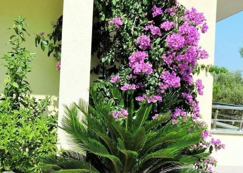 Split-Dalmatia Okrug Exterior Detail