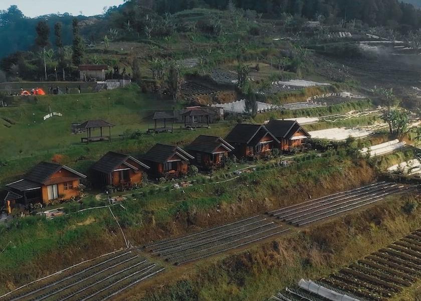 Bali Baturiti Aerial View