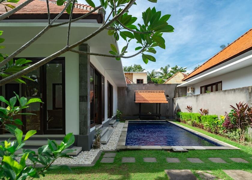 Bali Lovina Pool