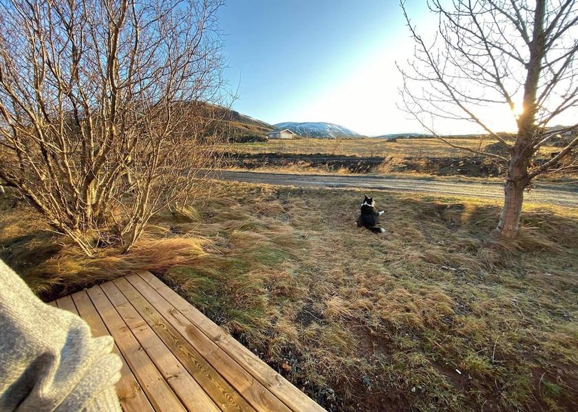 Southern Peninsula Mosfellsbaer Property Grounds