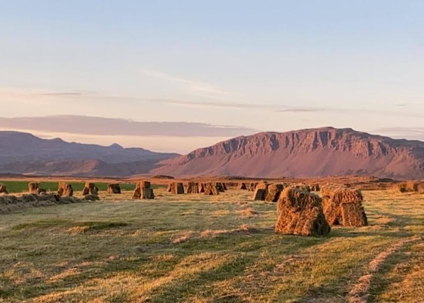 Western Region Borgarnes Fountain