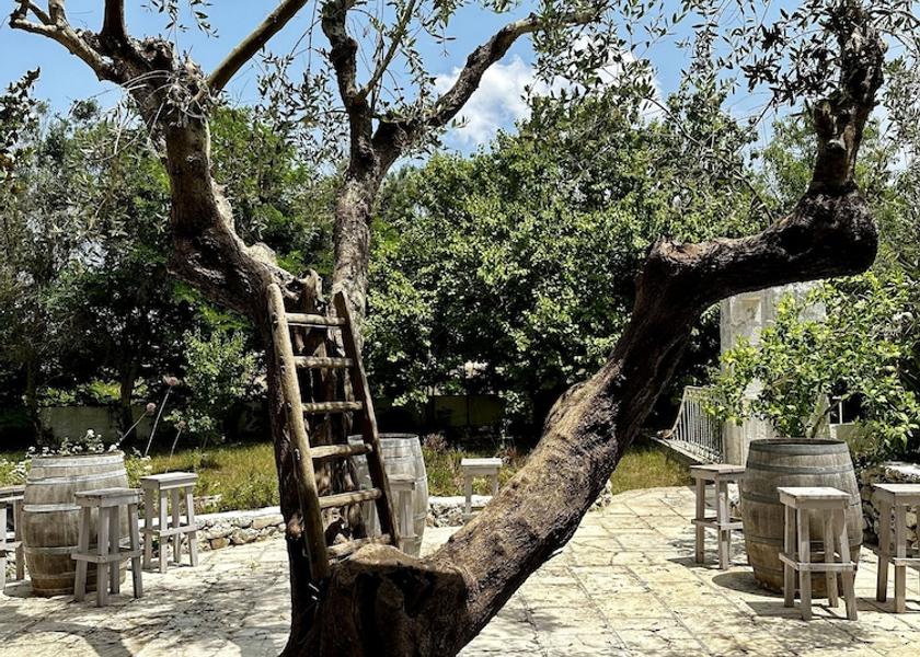 Puglia Ortelle Exterior Detail