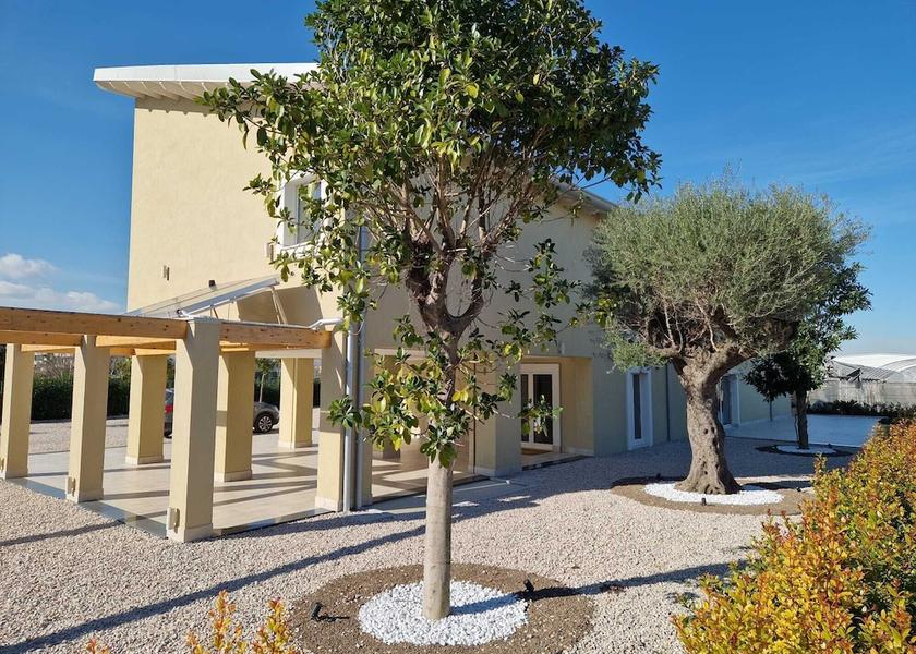 Campania Volla Primary image