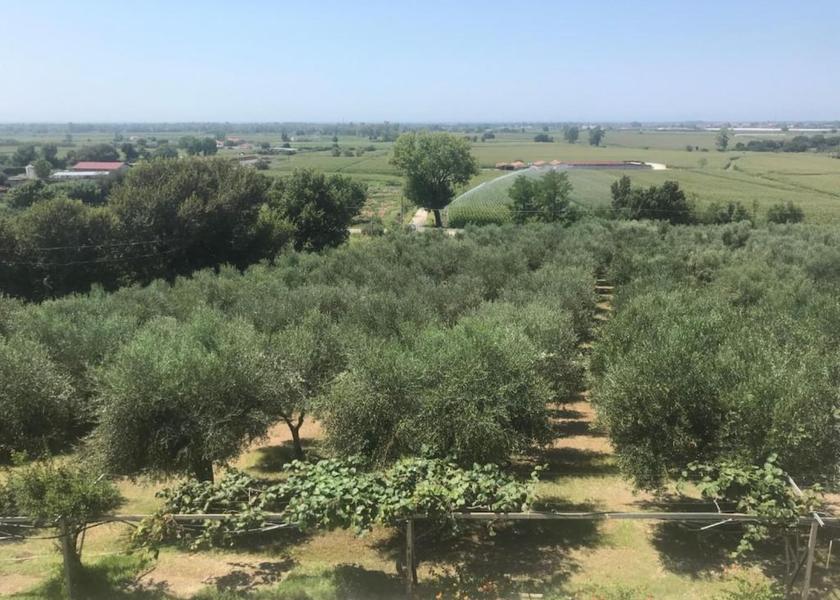 Campania Capaccio-Paestum Exterior Detail