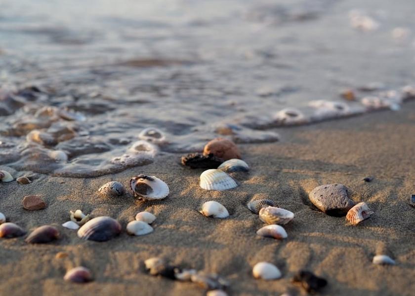 Veneto San Michele al Tagliamento Beach