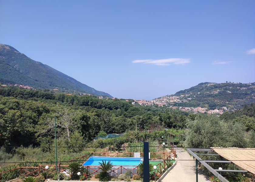 Campania Pimonte Primary image