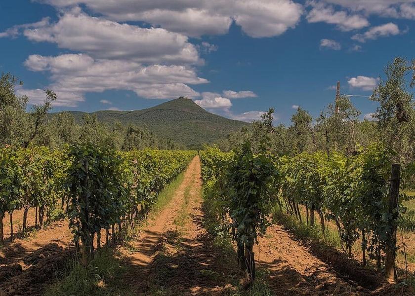 Tuscany Monteverdi Marittimo View from Property