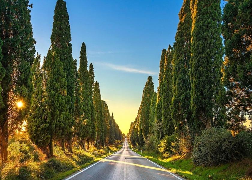 Tuscany Monteverdi Marittimo View from Property