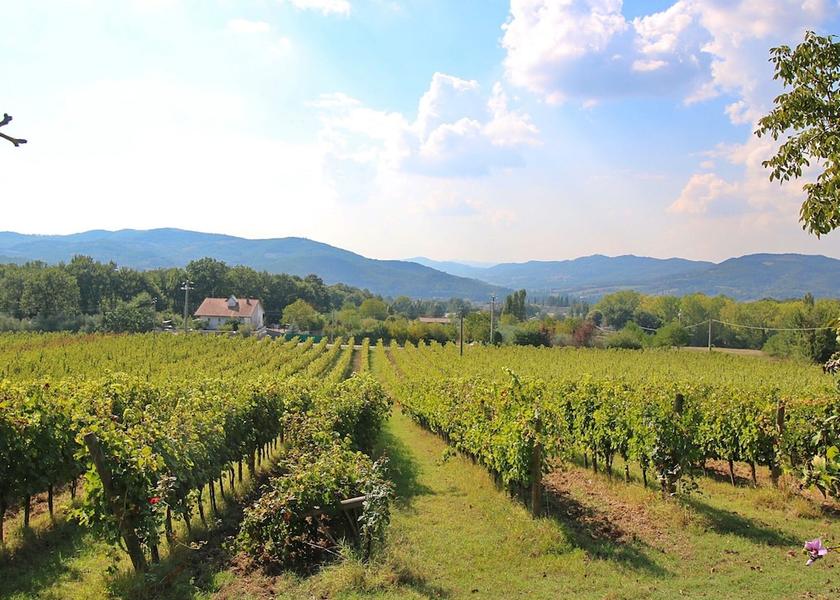 Umbria Umbertide View from Property