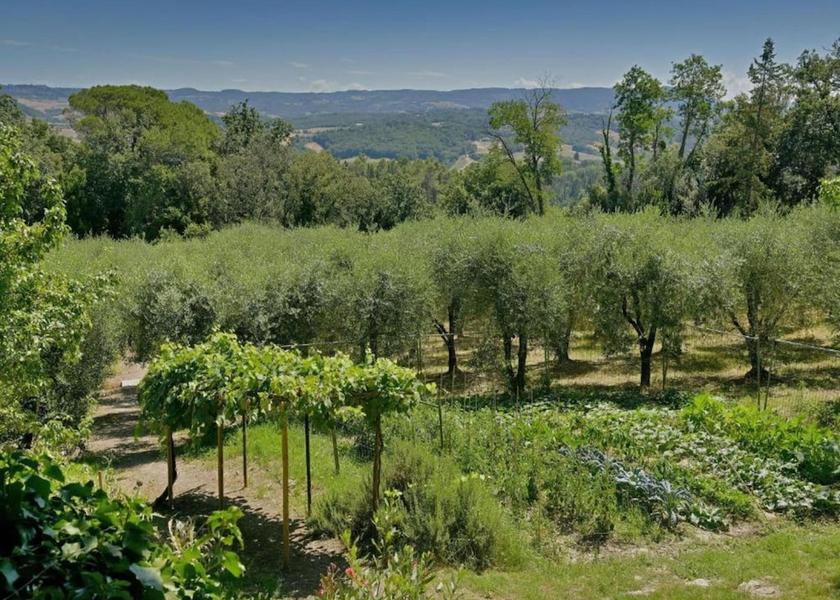 Tuscany Peccioli View from Property