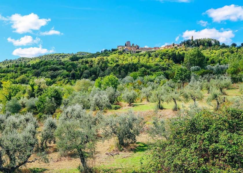 Tuscany Civitella in Val di Chiana View from Property