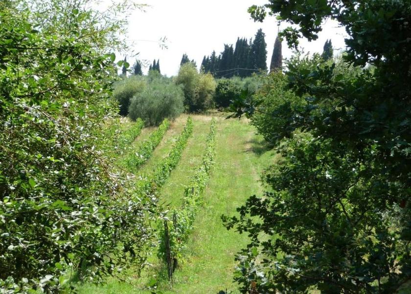 Tuscany Peccioli View from Property