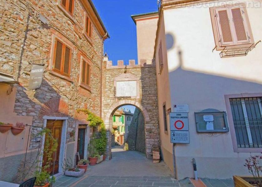 Tuscany Castagneto Carducci View from Property
