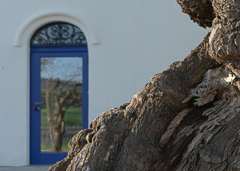 Sardinia Valledoria Exterior Detail