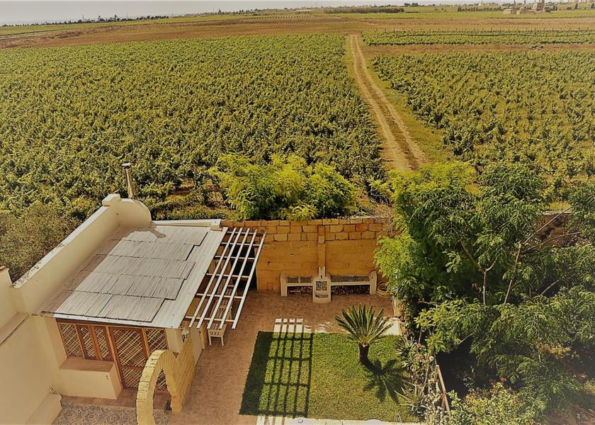 Sicily Petrosino 