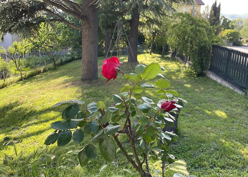 Piedmont Tagliolo Monferrato Garden