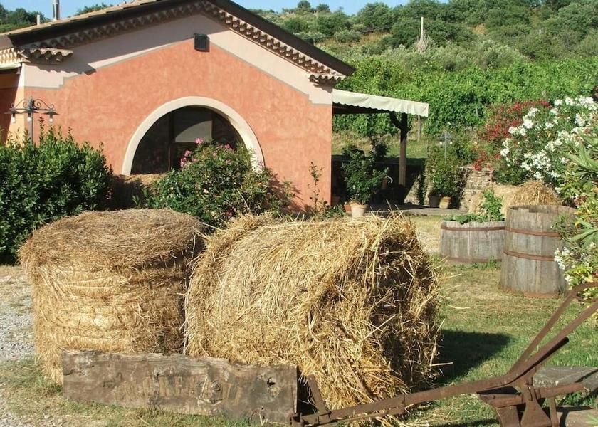 Campania Casal Velino Exterior Detail
