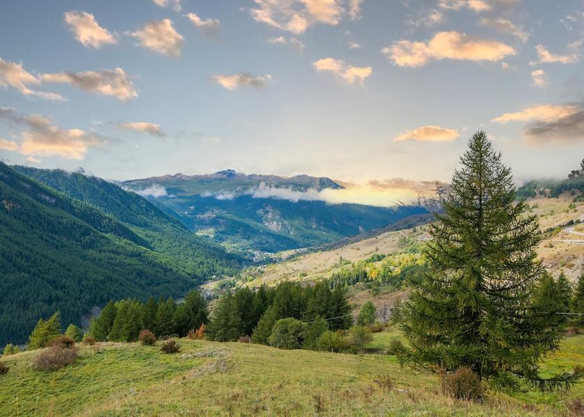 Piedmont Sauze di Cesana Room