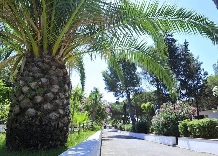 Campania Sessa Aurunca Exterior Detail