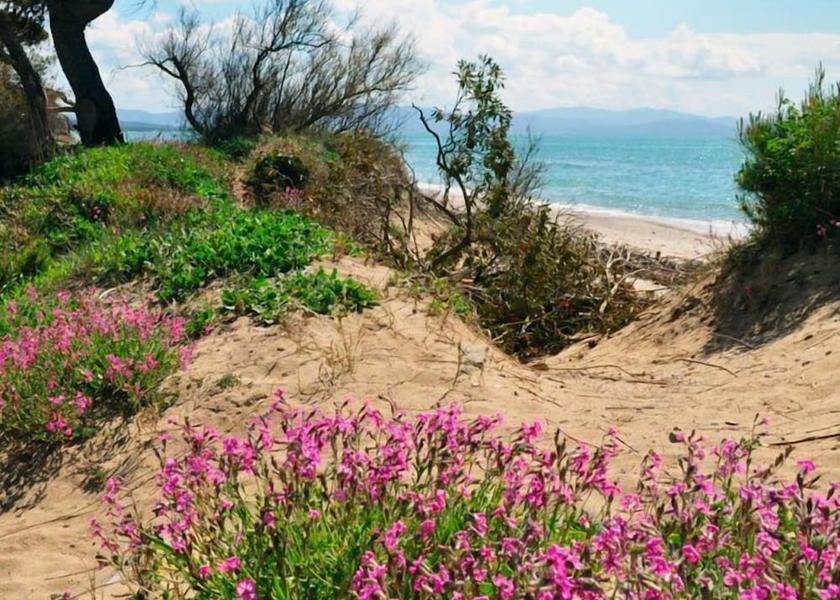 Tuscany Suvereto Hiking