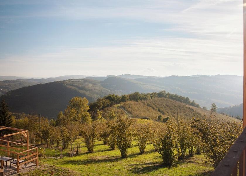 Piedmont Borgomale Land View from Property
