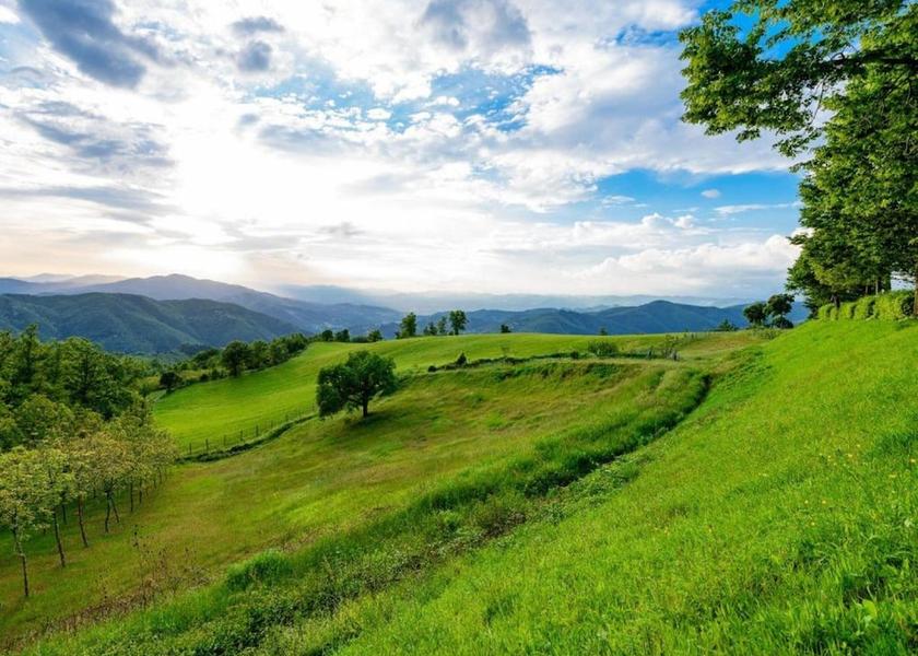 Tuscany San Godenzo View from Property
