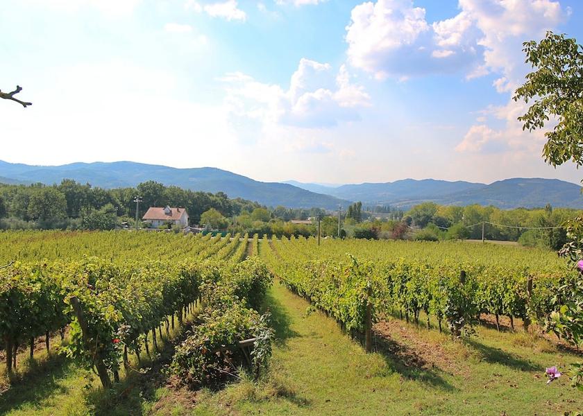 Umbria Umbertide View from Property