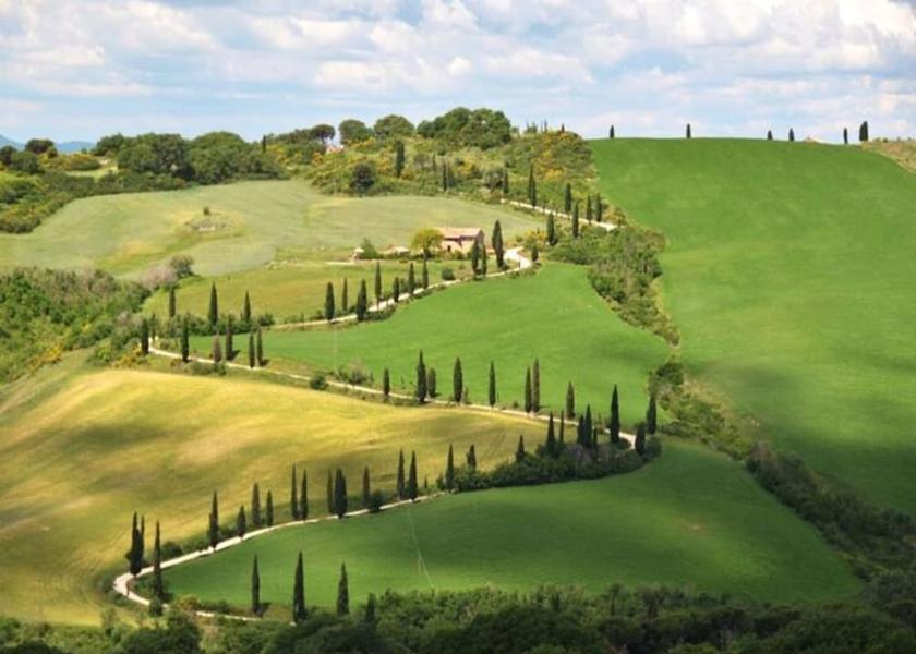 Tuscany Castelnuovo Berardenga Exterior Detail