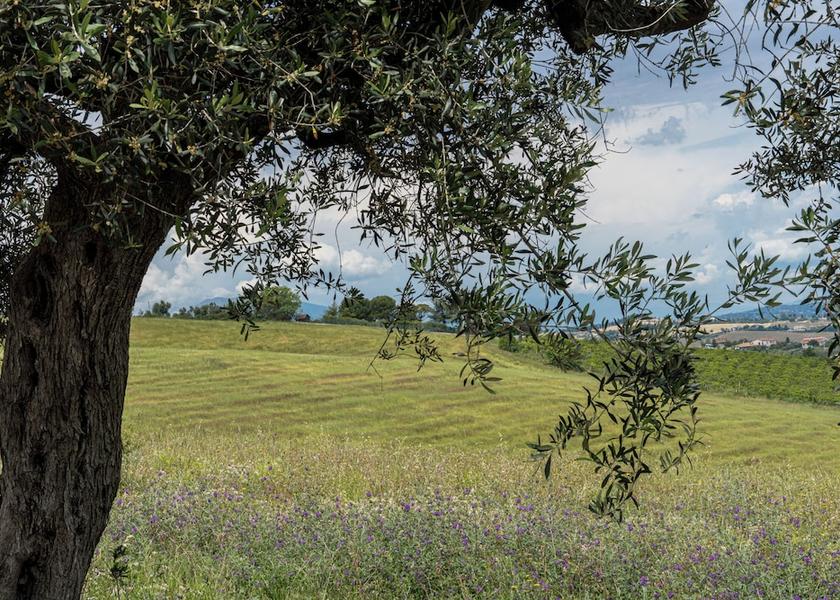 Abruzzo Roseto degli Abruzzi Exterior Detail