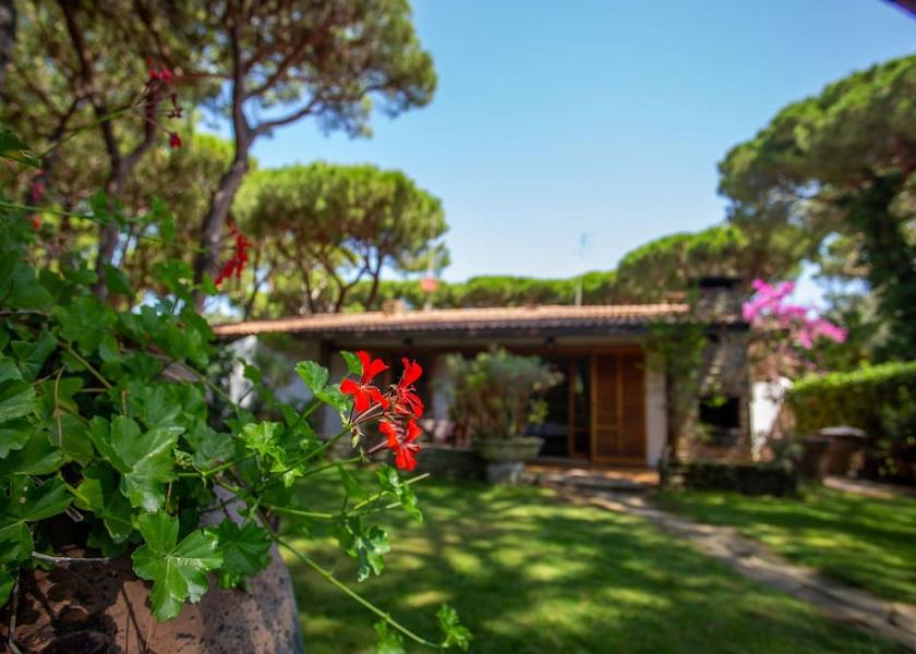 Tuscany Castiglione della Pescaia Room