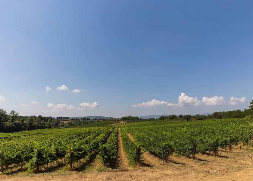 Tuscany Terranuova Bracciolini Room
