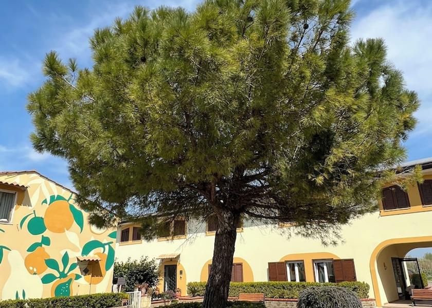 Campania Battipaglia Courtyard