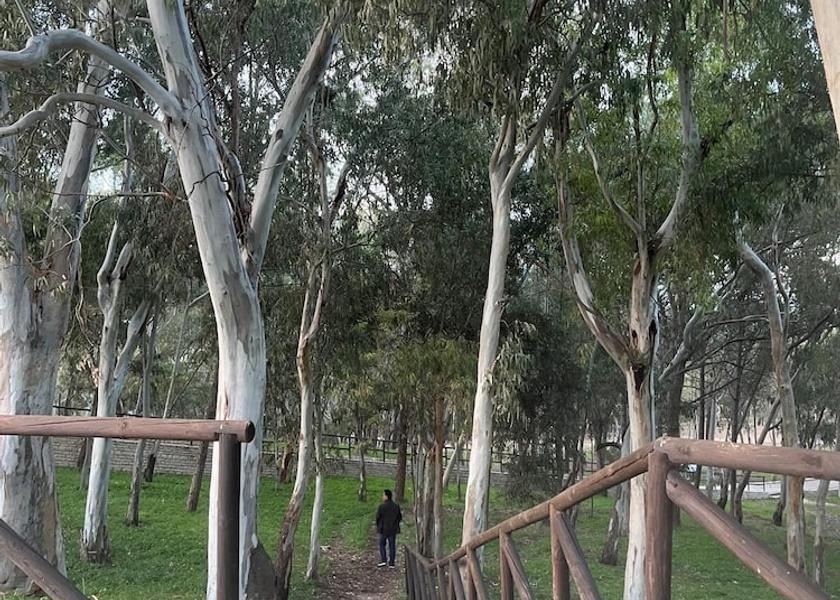 Sicily Balestrate Exterior Detail