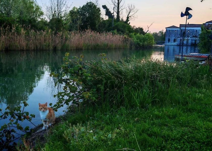Veneto Quinto di Treviso Property Grounds
