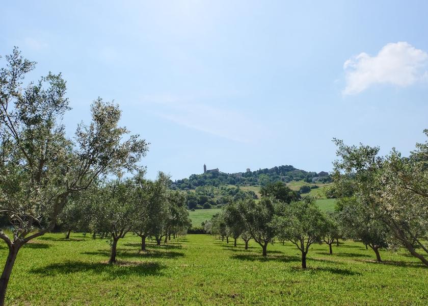 Marche Potenza Picena Garden