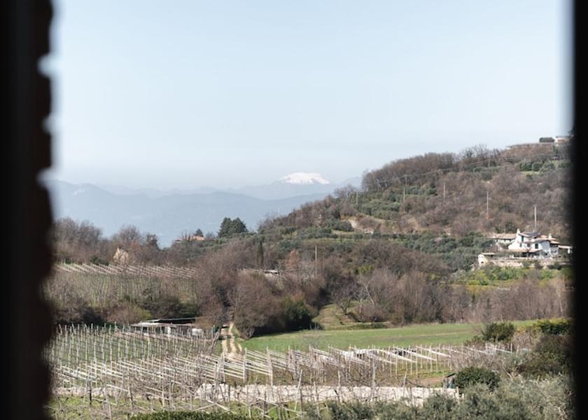 Veneto Affi View from Property