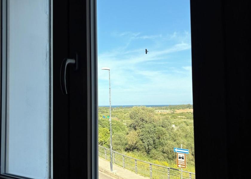 City View from Property