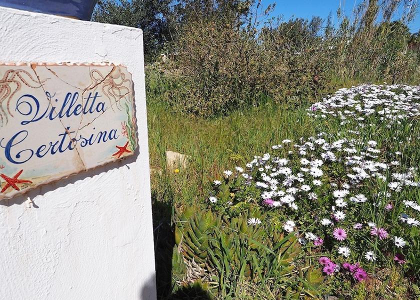 Puglia Racale Room