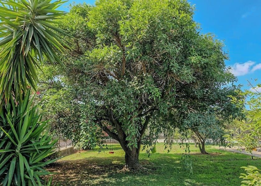 Campania Eboli Exterior Detail