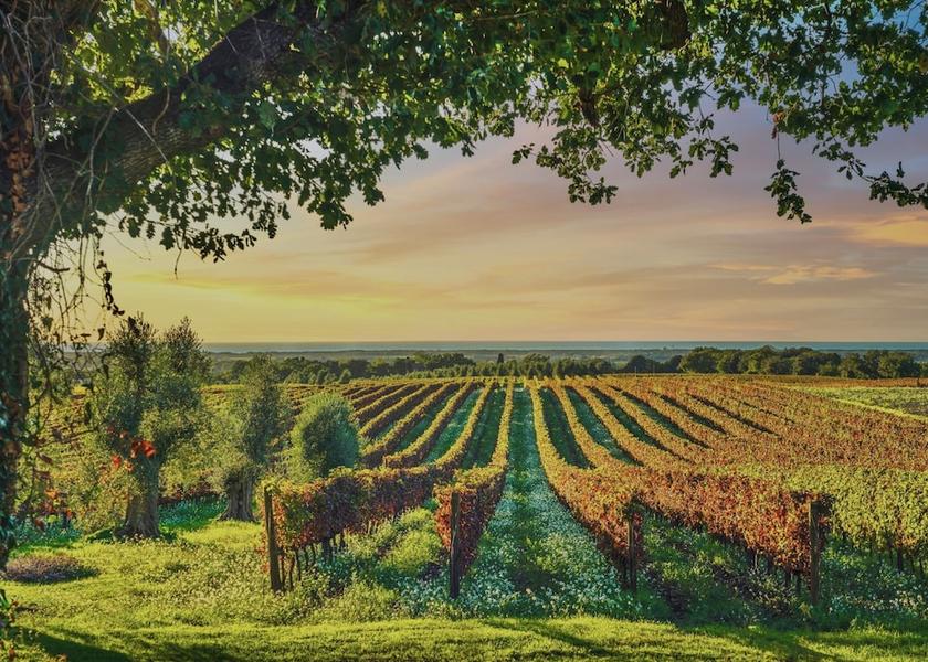 Tuscany Riparbella Exterior Detail