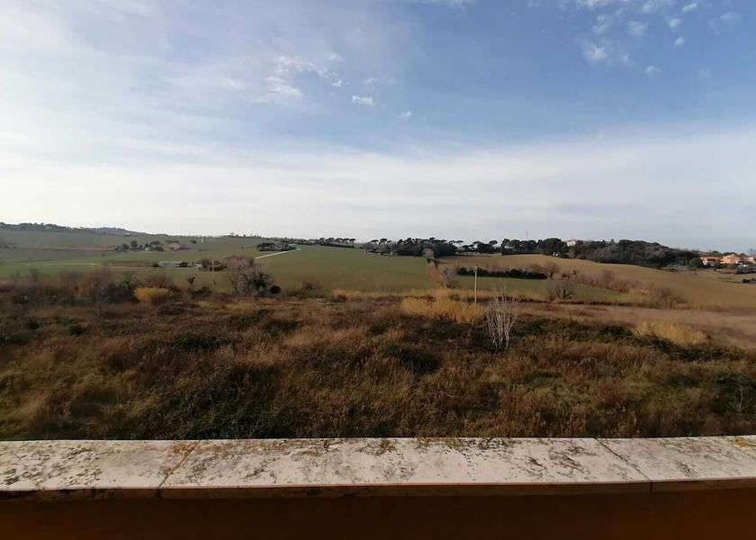 Marche Ancona Exterior Detail