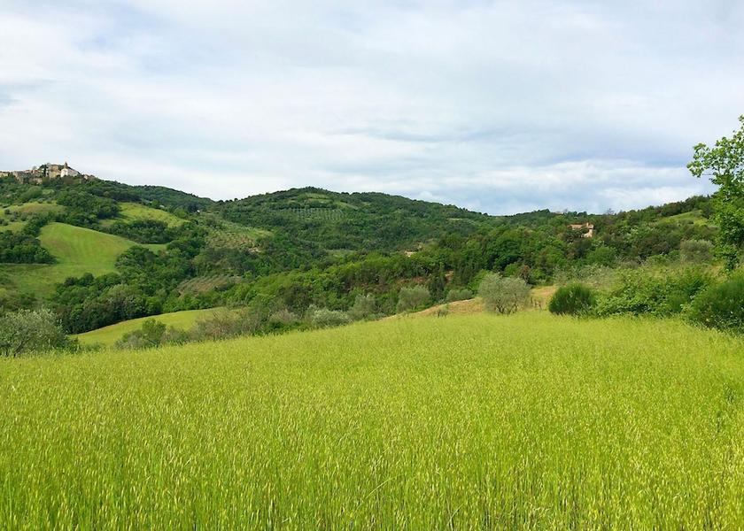 Tuscany Civitella Paganico Room