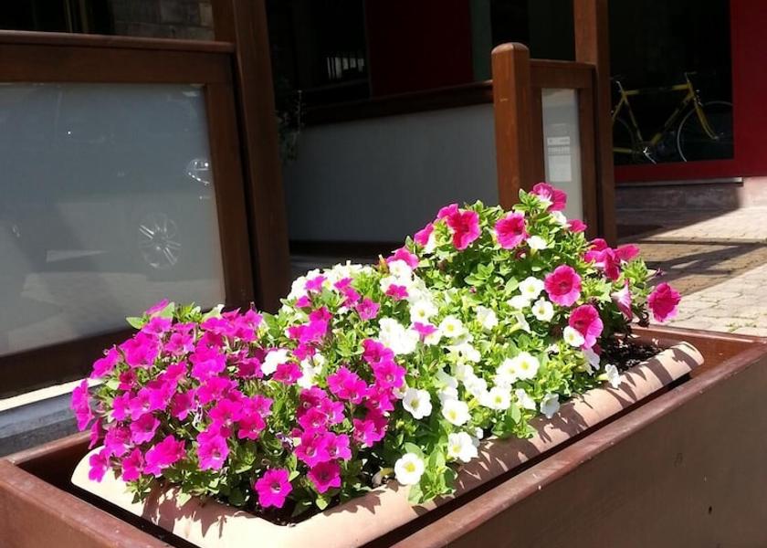 Valle d'Aosta Pont-Saint-Martin Exterior Detail