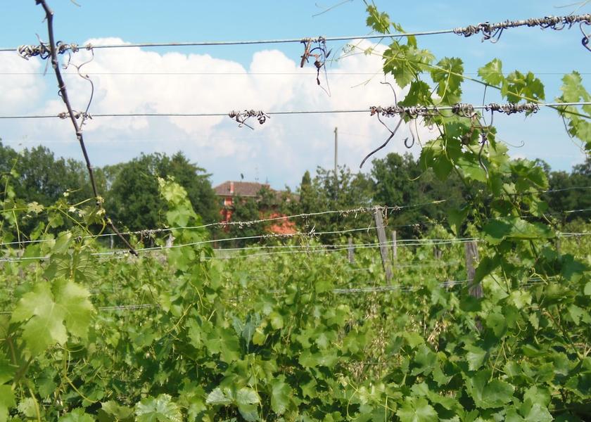 Piedmont Novi Ligure Property Grounds