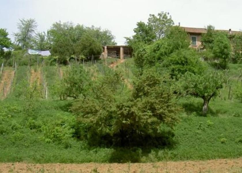 Piedmont Novi Ligure Exterior Detail