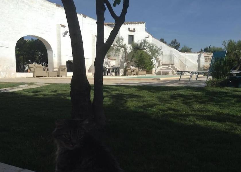 Puglia Sannicandro di Bari Property Grounds