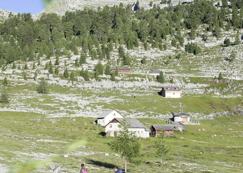 Trentino-Alto Adige San Lorenzo di Sebato Hiking
