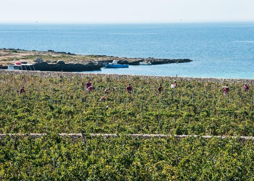Sicily Favignana View from Property